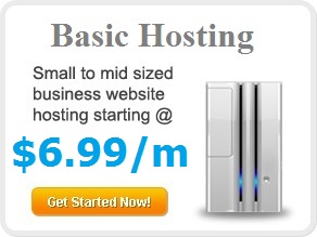 Business Hosting